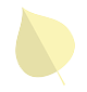 黄葉
